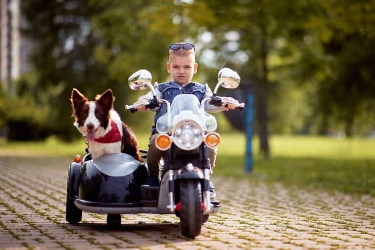 Are Motorcycles Safe for Kids Weighing the Risks and Benefits