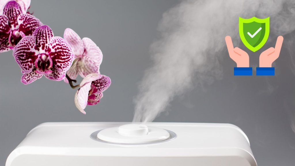 Put Safety First When Selecting a Humidifier