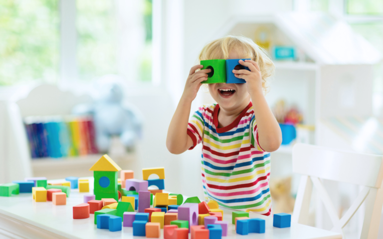 Why Bristle Blocks Are Ideal Toys for Toddlers