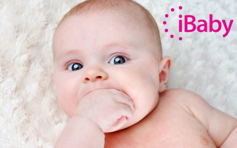 The Story Behind the iBaby Labs Logo and Its Significance