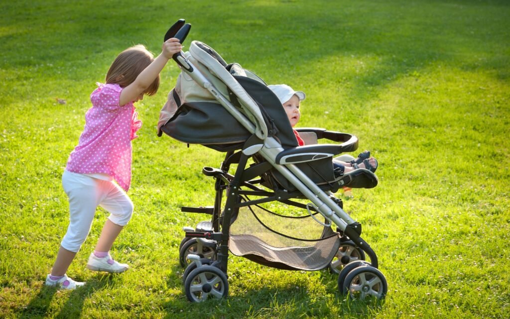 Reversible Strollers
