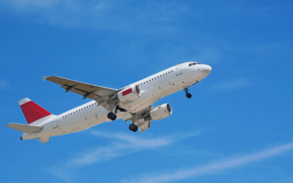 Which Airlines Provide a Bassinet
